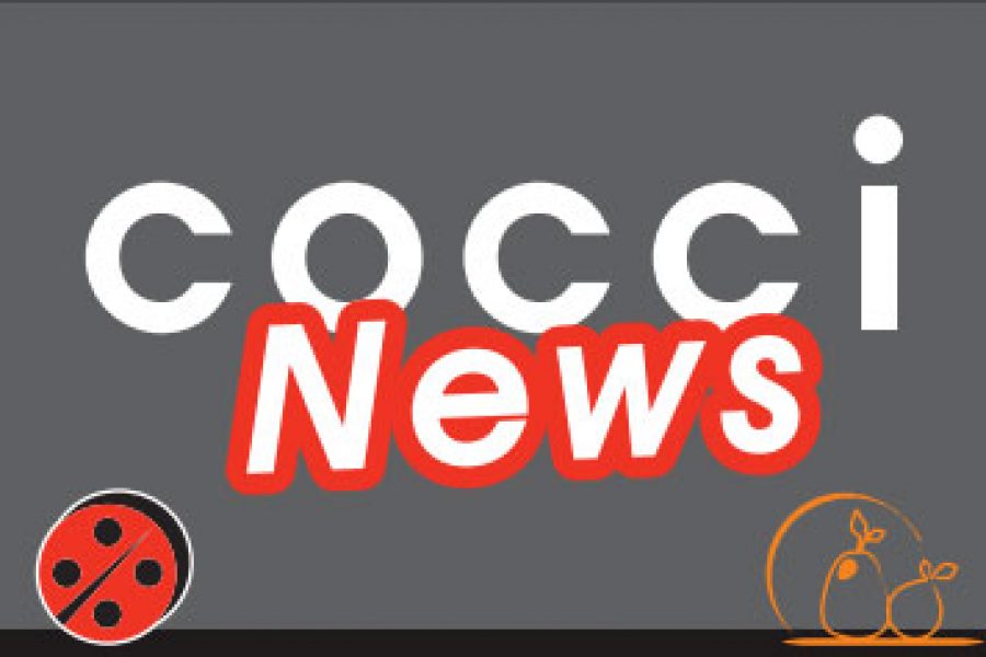 Coccinews : news of our supermarket chain