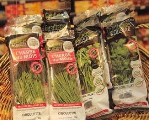 herbes aromatiques dans des petits sachets en plastique