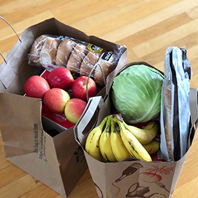 Delivery bag filled with provisions